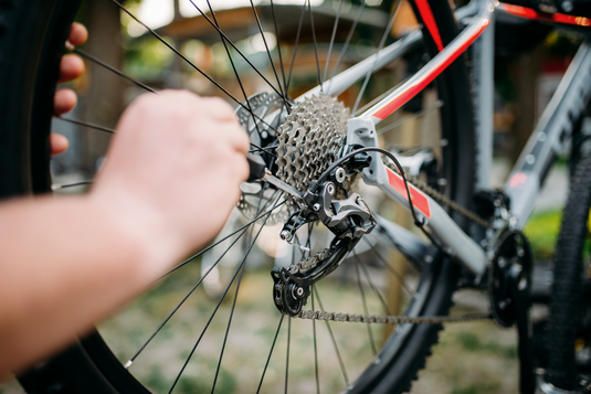 Top 10 Bike Care Products
