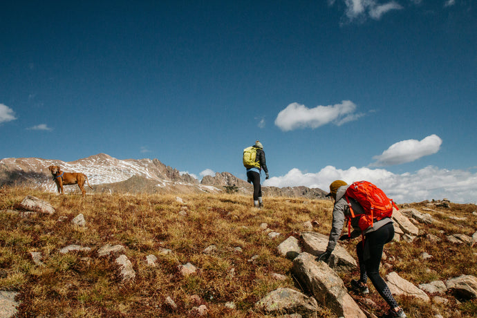 Top 5 Summer Hikes in Vancouver for 2024: Trails You Can’t Miss