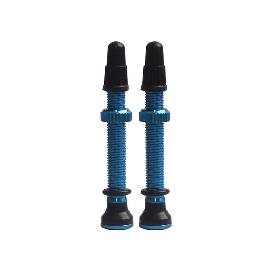 Tubeless Valves