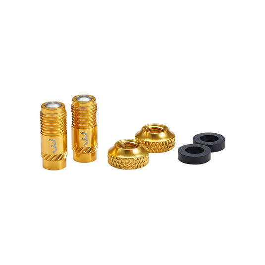 BBB Cycling BTI-165 CoreCap