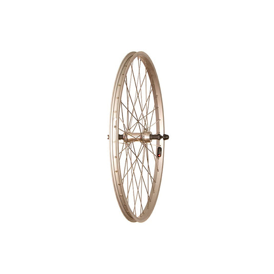 Single Wall - 24" - Alloy Rim - Silver
