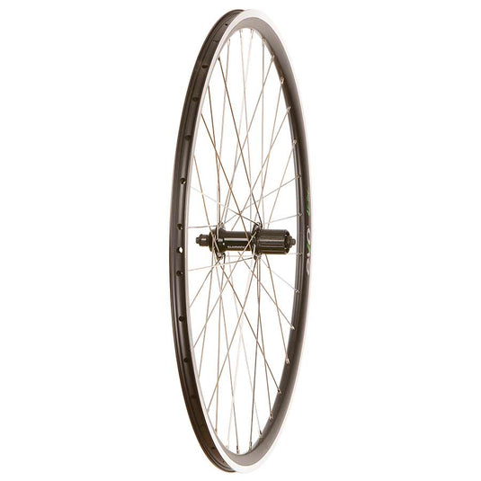 Road - 700C - Evo Tour 16 Black/Stainless