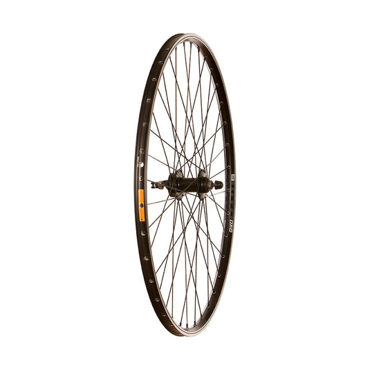 WTB DX18 QR Rim and Disc 700C / 29''
