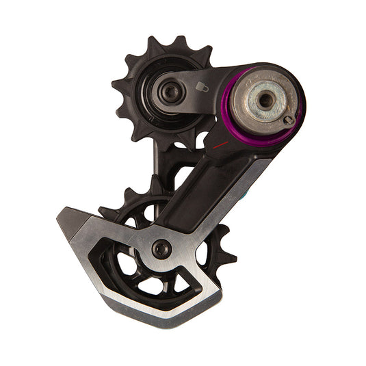 SRAM Cage Assembly for XX Downhill