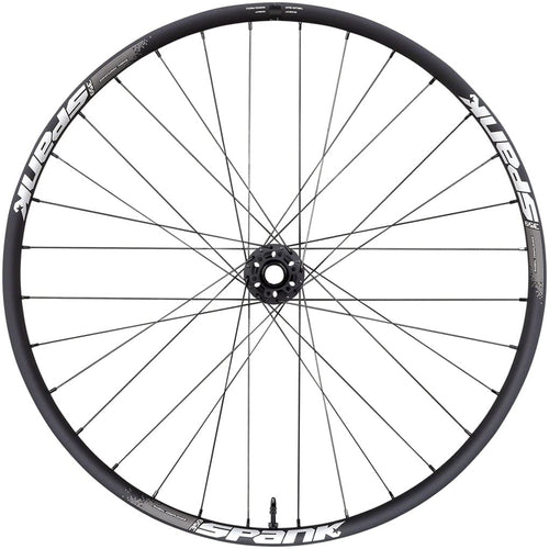 Spank 359 Front Wheel - 29