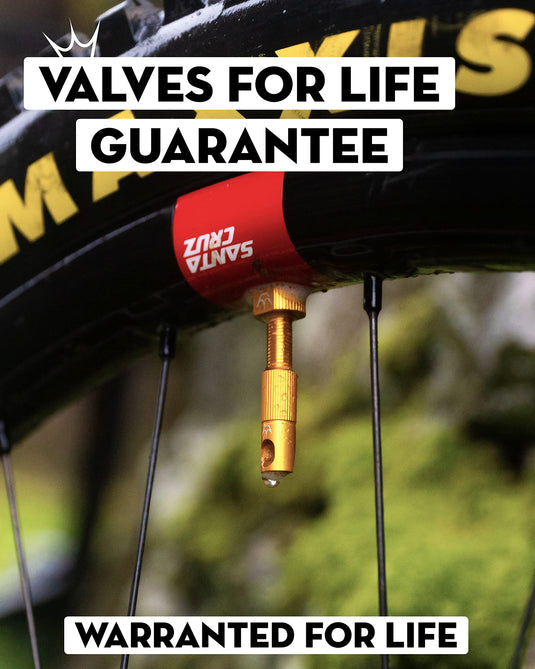 Peaty's x Chris King (MK2) Tubeless Valves, 42mm, Navy - RACKTRENDZ