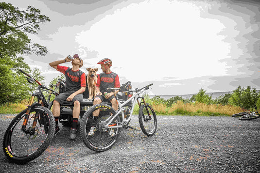 Stan's No Tubes, Valve core, Pack of 50 - RACKTRENDZ