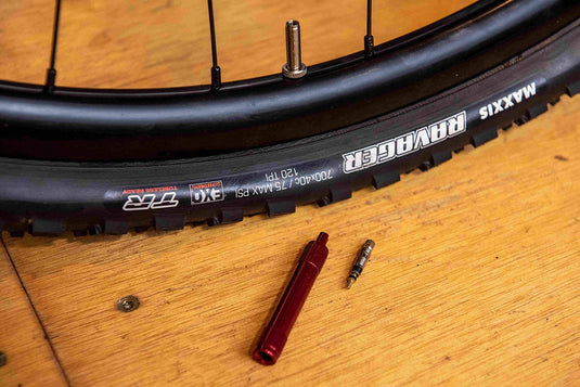 Stan's No Tubes, Valve core, Pack of 50 - RACKTRENDZ