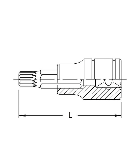 BIT SOCKET  3/8 DR 10MM