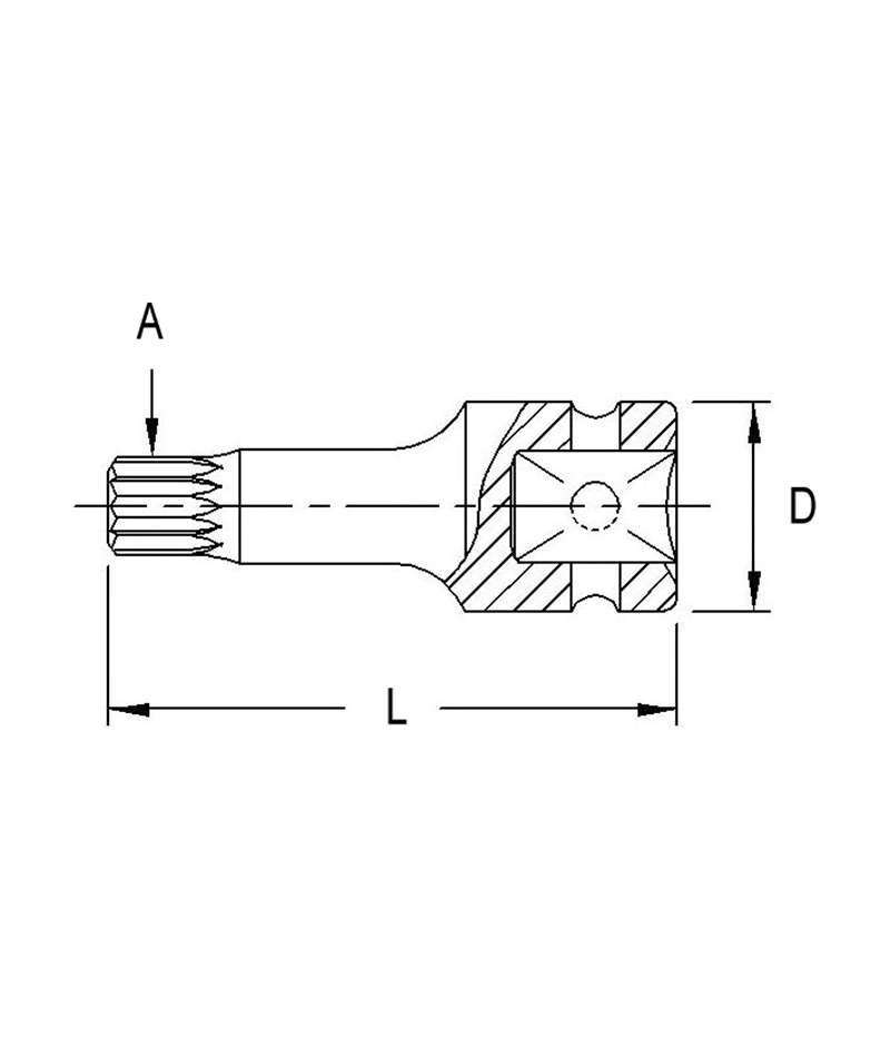 Chargez l'image dans la visionneuse de la galerie, 1/2" 12PT SPEC.HEAD S. 89.3
