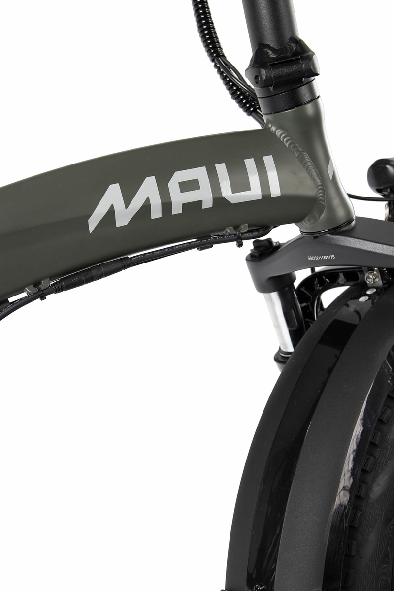 Chargez l&#39;image dans la visionneuse de la galerie, Maui MBFB01GRN - Vélo électrique pliant 500w vert
