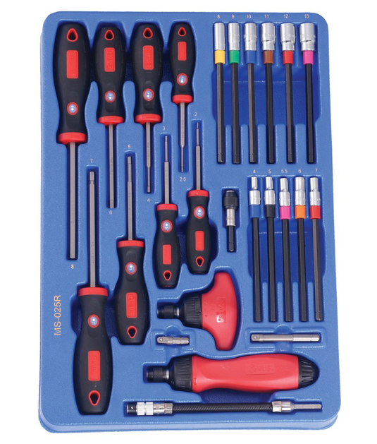 25 PCS HEX SCREWD/RATC.SET