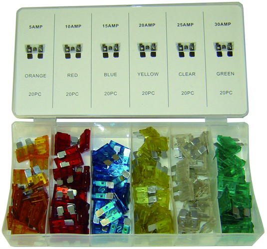 Rodac RDFA100 - Fuse Assortment - 100 Pieces