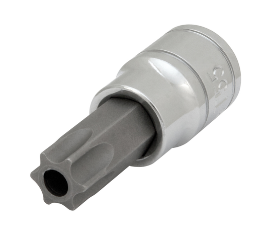 EMBOUT ÉTOILE SCKT 3/8" T55 RES.