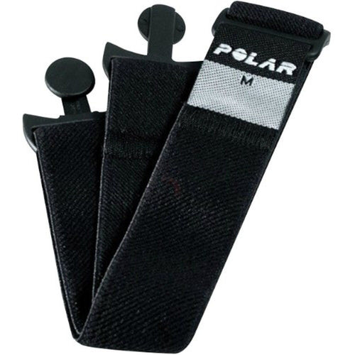 Polar T31