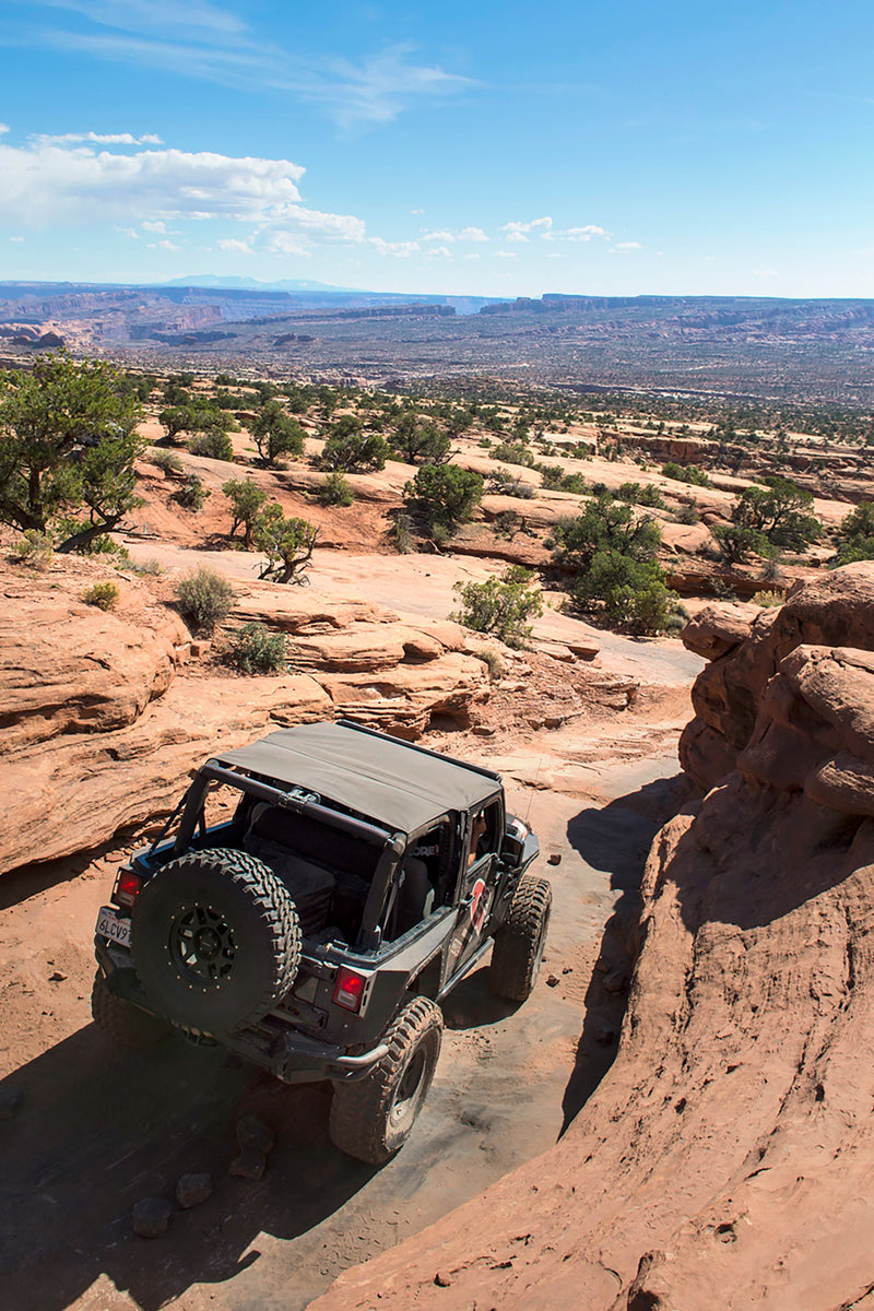 Chargez l&#39;image dans la visionneuse de la galerie, HD PIVOT TIRE CARRIER UP TO 37&#39; - RACKTRENDZ
