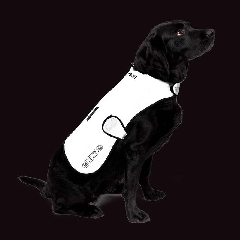 Load image into Gallery viewer, Dog Cover - RACKTRENDZ
